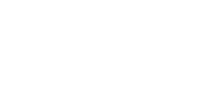 Castillo de Montsonís
